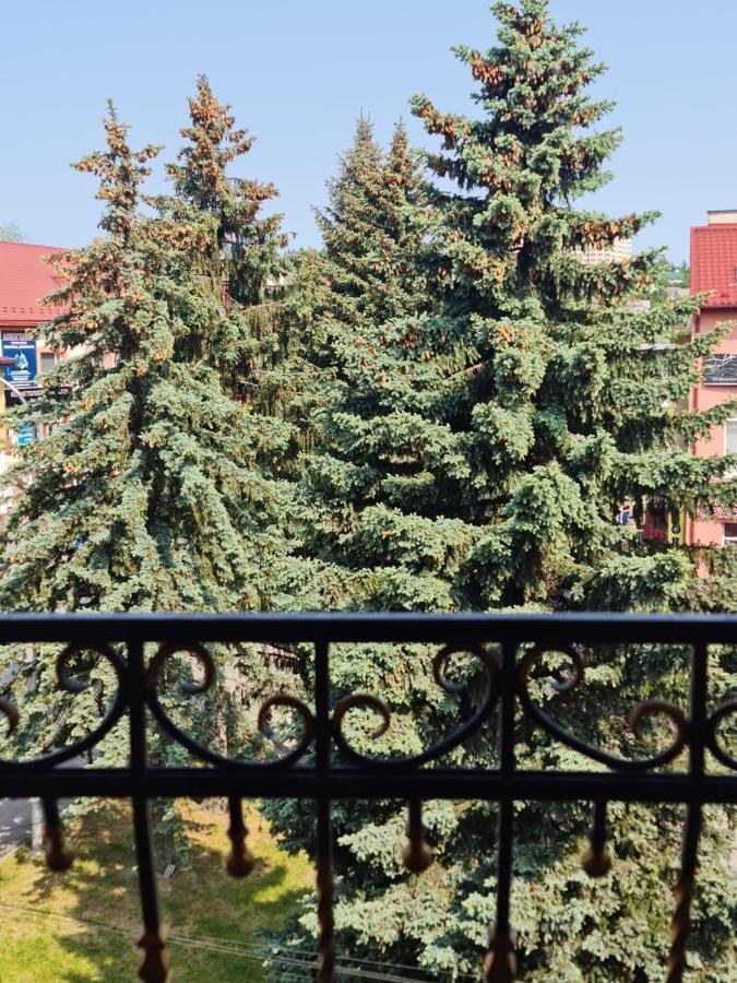 Hotel Villa Sofia Truszkavec Kültér fotó