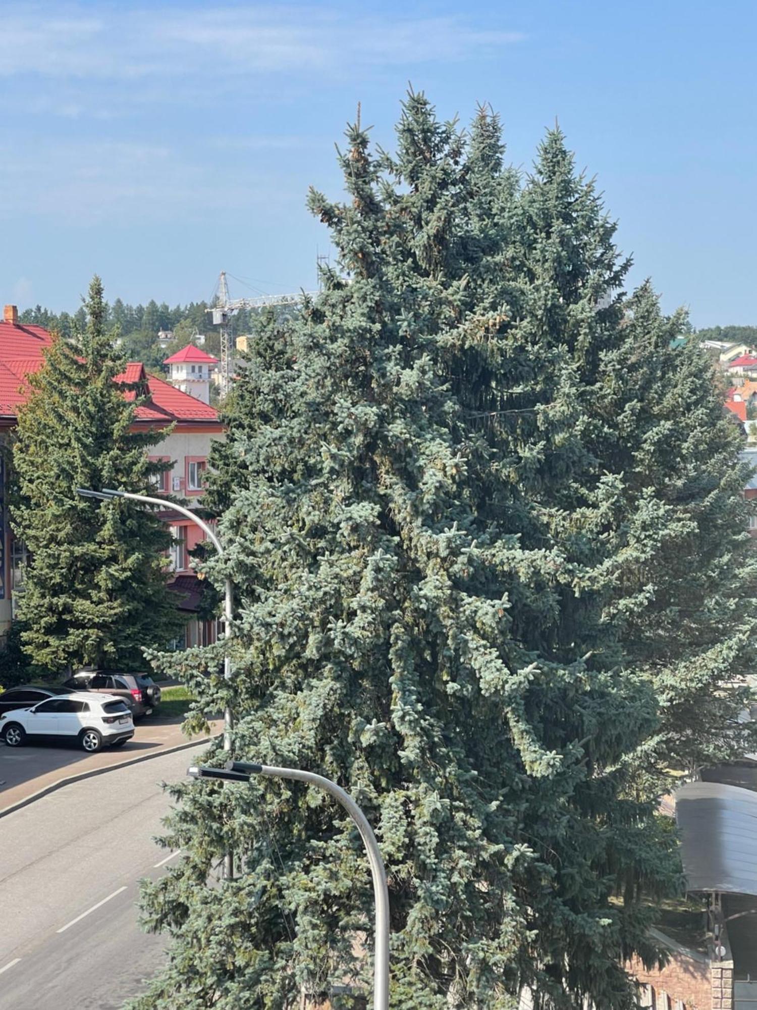 Hotel Villa Sofia Truszkavec Kültér fotó