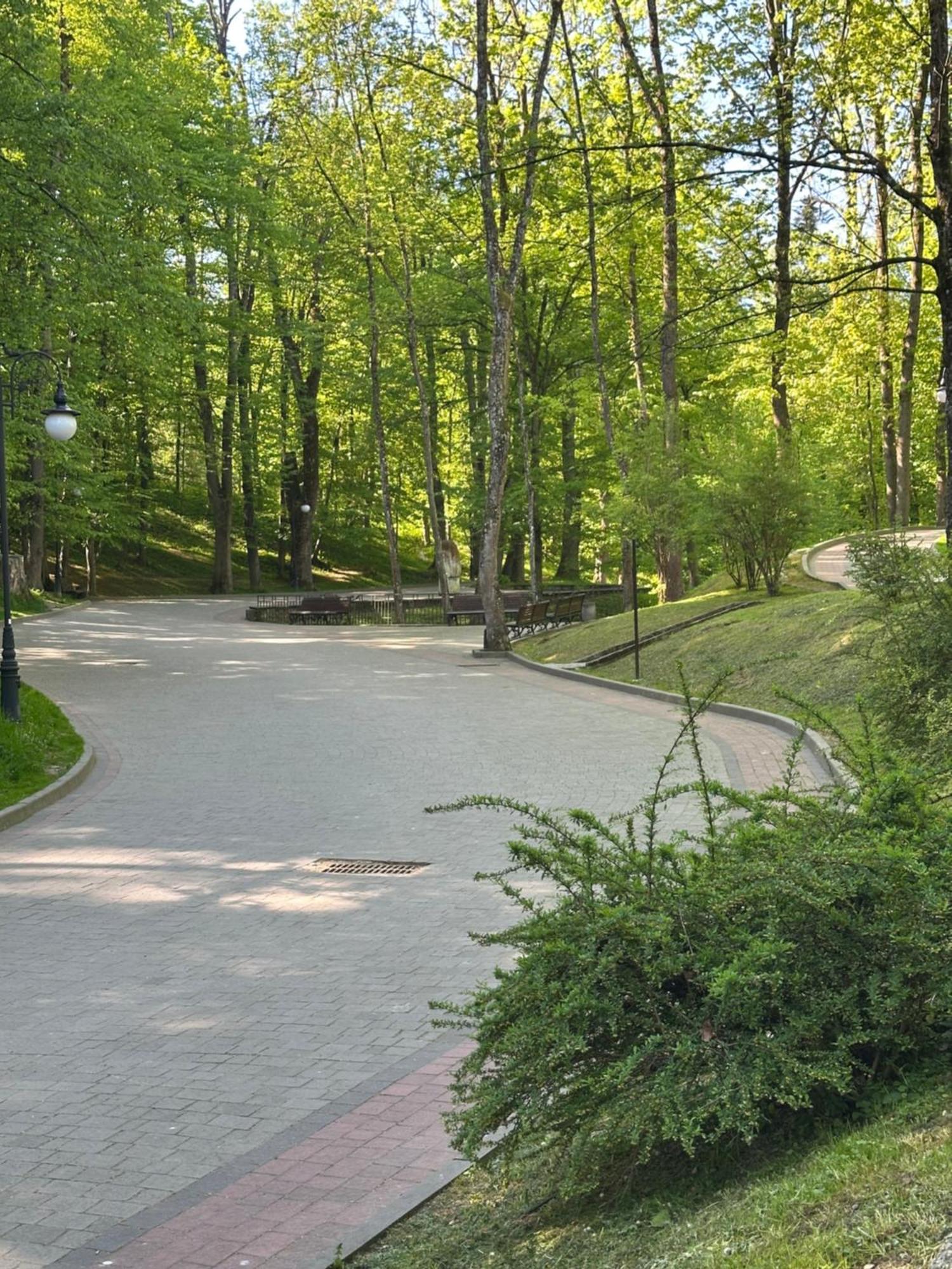 Hotel Villa Sofia Truszkavec Kültér fotó
